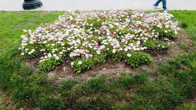 "Мой Баку": Парк "Сахиль" – маленький уголок столицы с большой историей