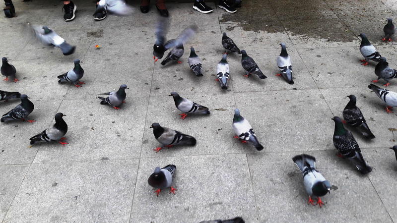 "Мой Баку": Парк "Сахиль" – маленький уголок столицы с большой историей