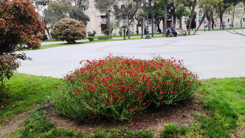 "Мой Баку": Парк "Сахиль" – маленький уголок столицы с большой историей