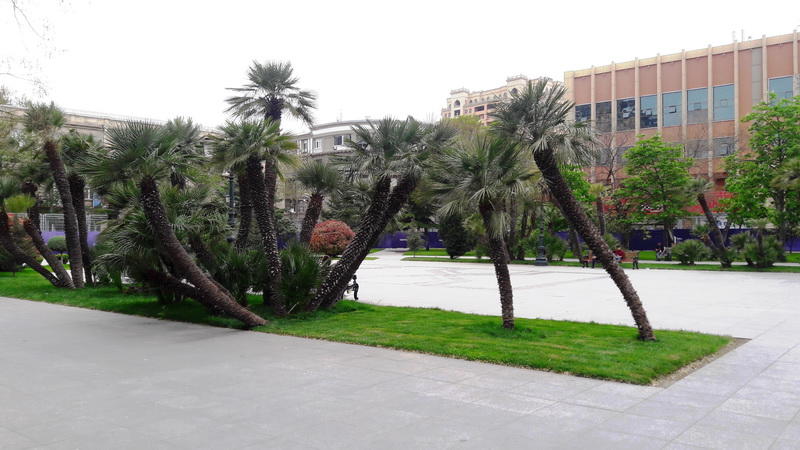 "Мой Баку": Парк "Сахиль" – маленький уголок столицы с большой историей