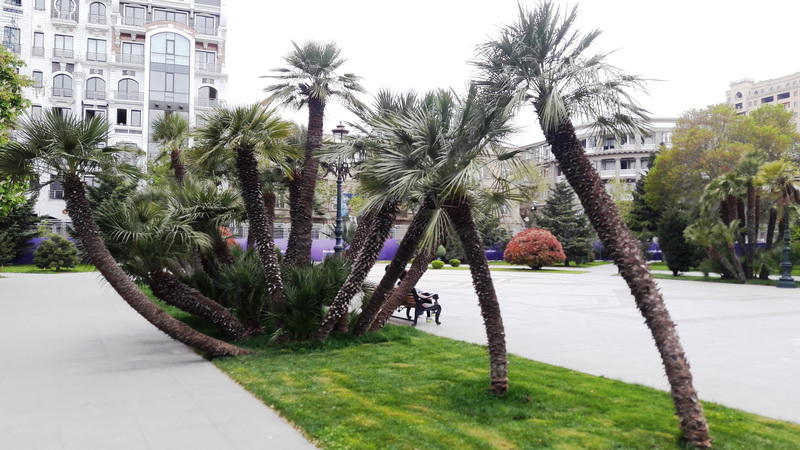 "Мой Баку": Парк "Сахиль" – маленький уголок столицы с большой историей