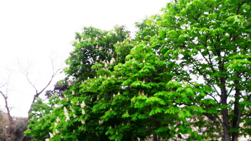 "Мой Баку": Парк "Сахиль" – маленький уголок столицы с большой историей