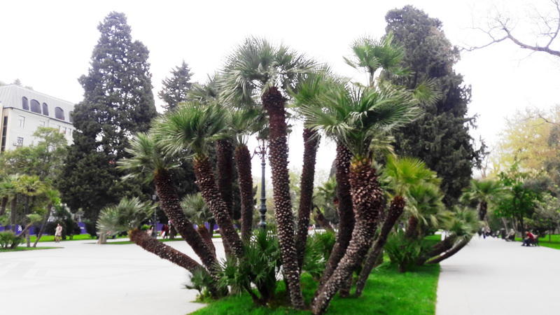 "Мой Баку": Парк "Сахиль" – маленький уголок столицы с большой историей