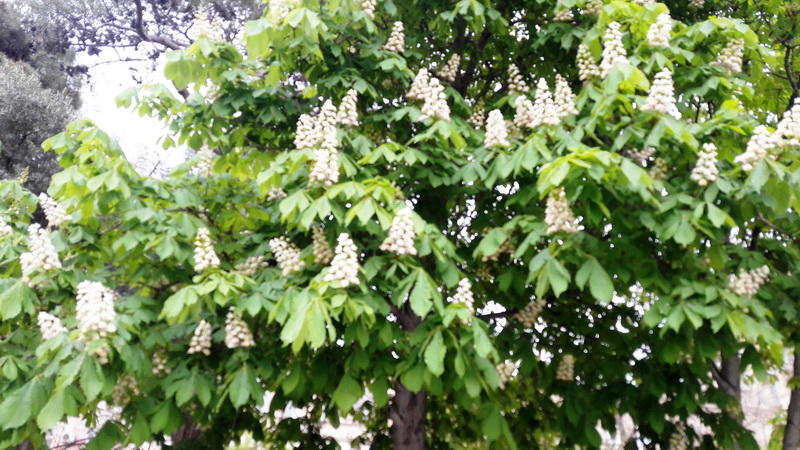 "Мой Баку": Парк "Сахиль" – маленький уголок столицы с большой историей