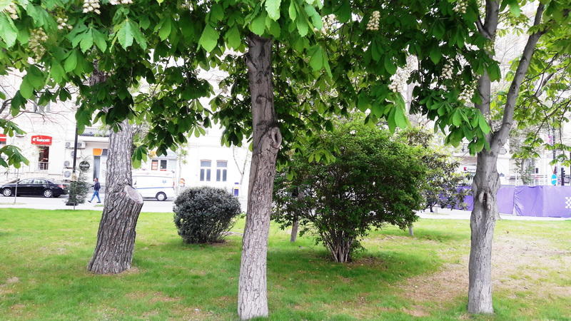 "Мой Баку": Парк "Сахиль" – маленький уголок столицы с большой историей