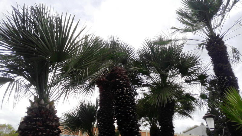 "Мой Баку": Парк "Сахиль" – маленький уголок столицы с большой историей