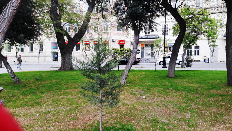 "Мой Баку": Парк "Сахиль" – маленький уголок столицы с большой историей