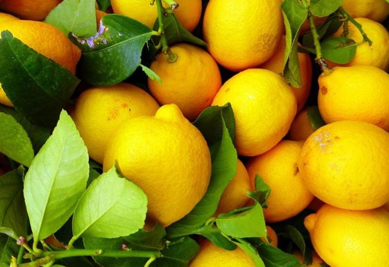 Какие фрукты обязательно нужно есть с косточками