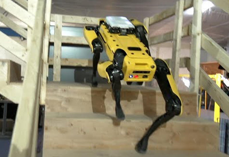 Робот Boston Dynamics научился спускаться по лестнице
