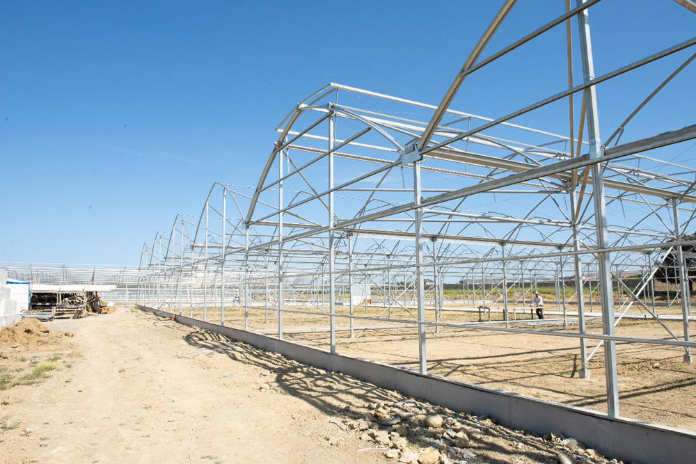 В минсельхозе Азербайджана новое назначение