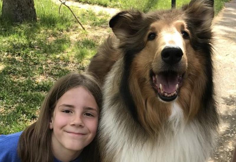 В США мальчик прославился, перегладив сотни собак