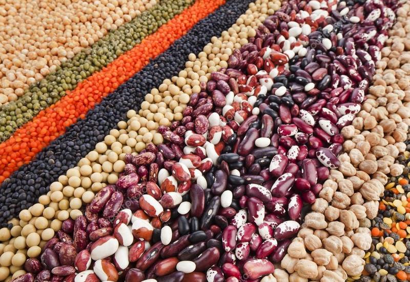 В Азербайджане расширят производство сельхозпродукции