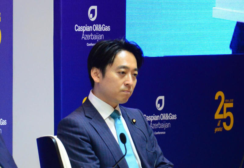 Замминистра экономики Японии о значимости нефтегазовых проектов Азербайджана