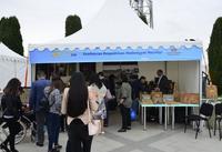 Баку объединил Европу в одном городе Eurovillage 2018