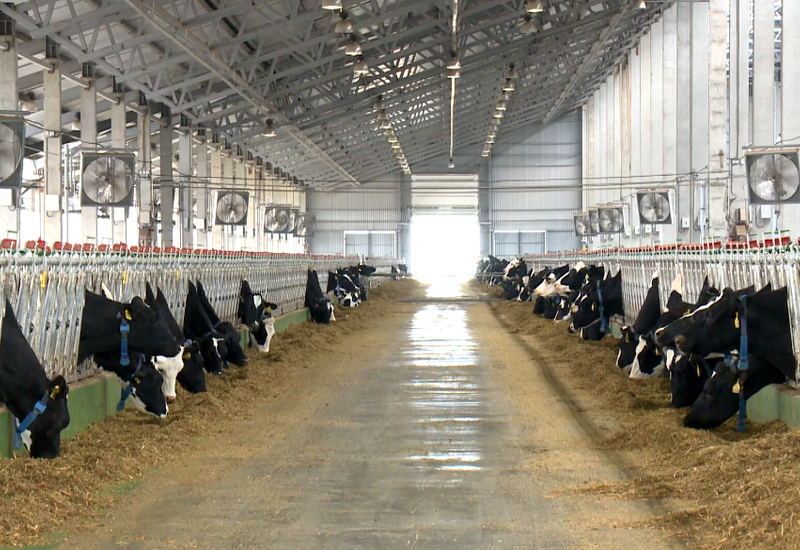 Сотрудничество Азербайджана и Австралии выходят на новый уровень