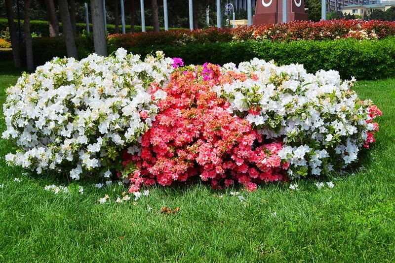 "Мой Баку": Нагорный парк - весь город на ладони