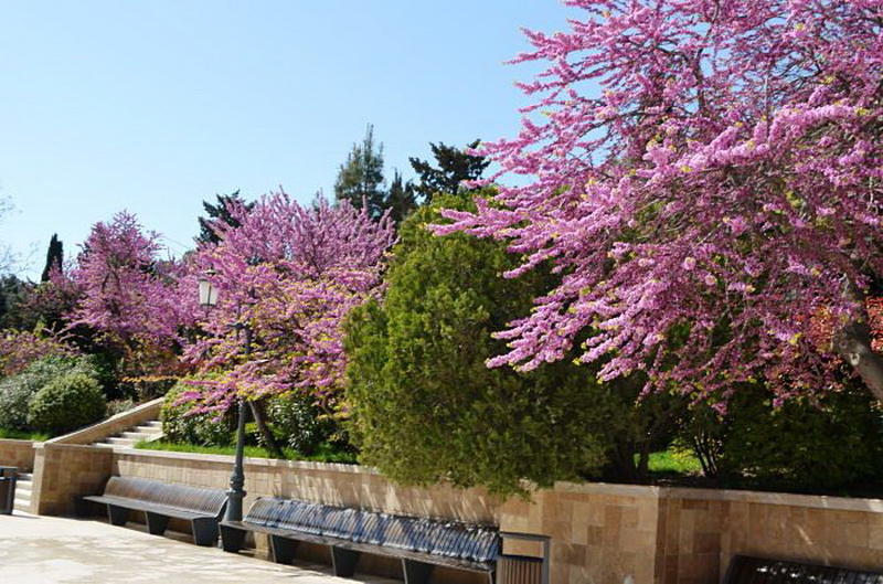 "Мой Баку": Нагорный парк - весь город на ладони