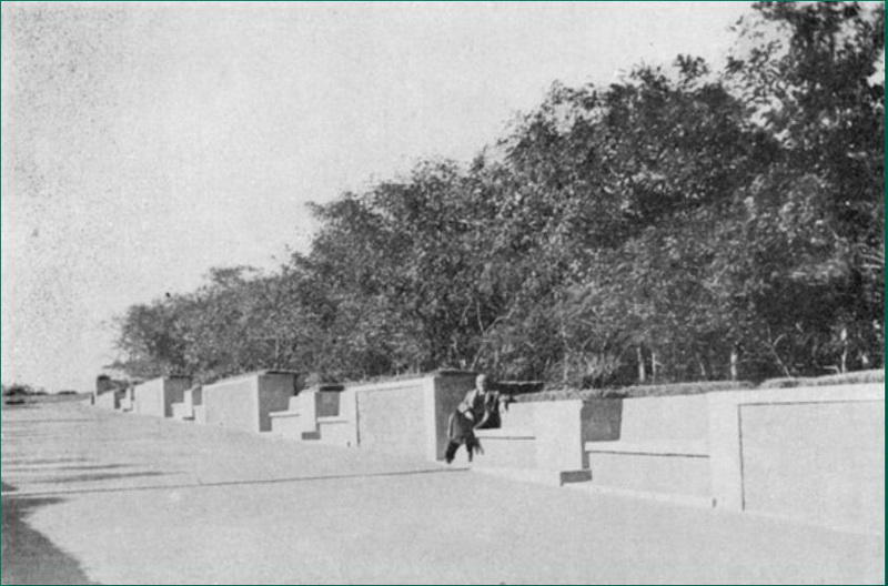 "Мой Баку": Нагорный парк - весь город на ладони