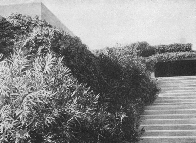 "Мой Баку": Нагорный парк - весь город на ладони