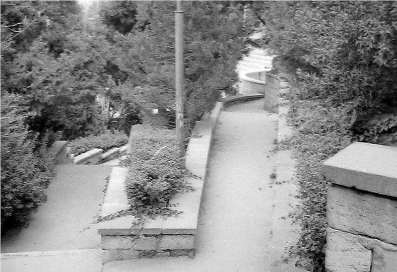 "Мой Баку": Нагорный парк - весь город на ладони