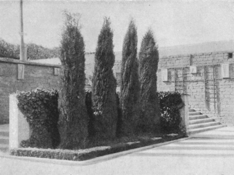 "Мой Баку": Нагорный парк - весь город на ладони