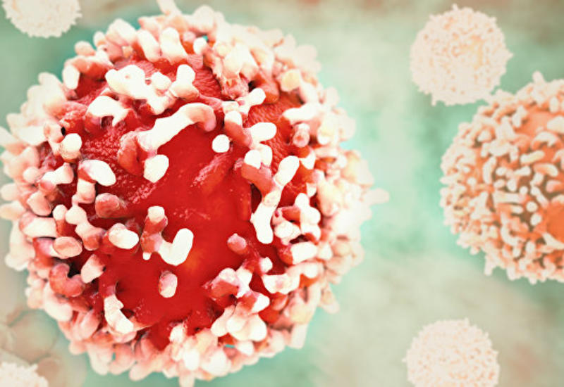 Ученые нашли способ предотвратить один из видов рака