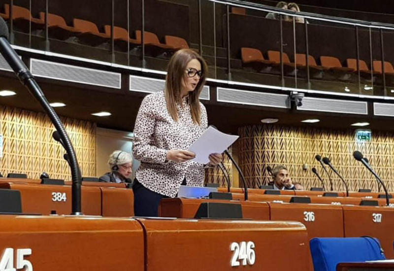 Ганира Пашаева призвала отказаться от двойных стандартов в отношении Азербайджана