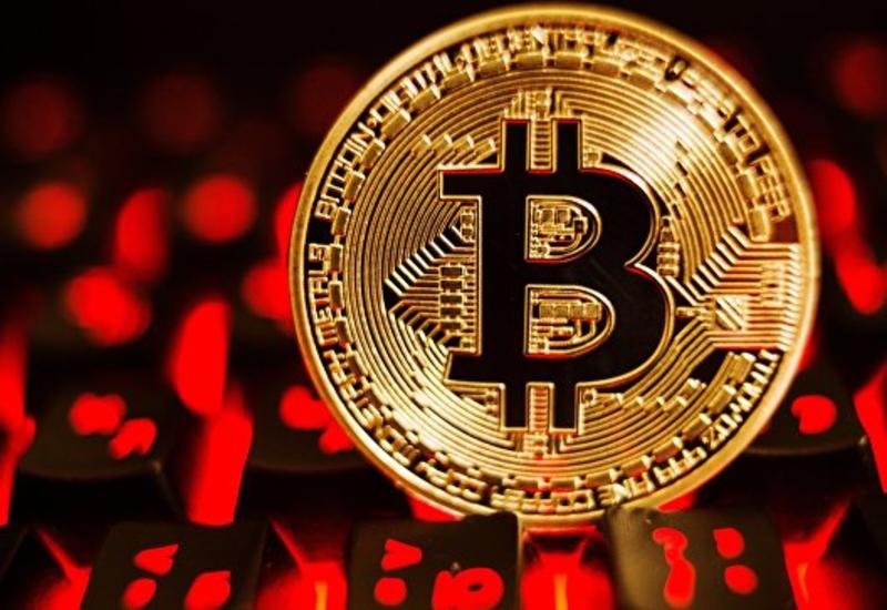 Ученые выяснили, как соцсети повышают цену биткоина