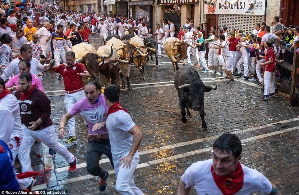 Məşhur buğa festivalı başlandı: 5 nəfər yaralanıb