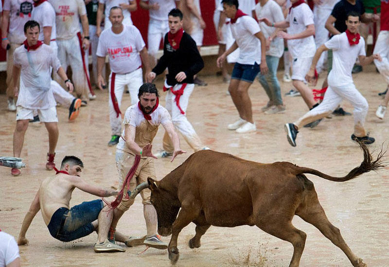Məşhur buğa festivalı başlandı: 5 nəfər yaralanıb