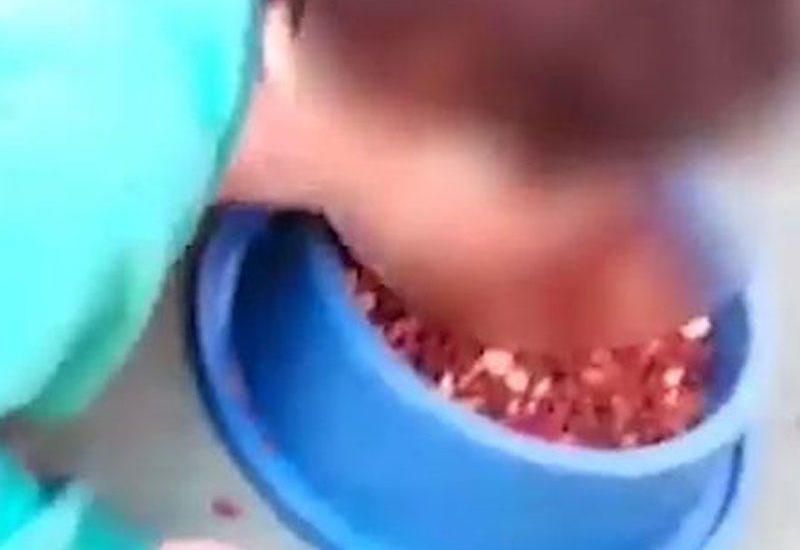 Ana qüsurlu oğluna zorla it yeməyi yedirtdi
