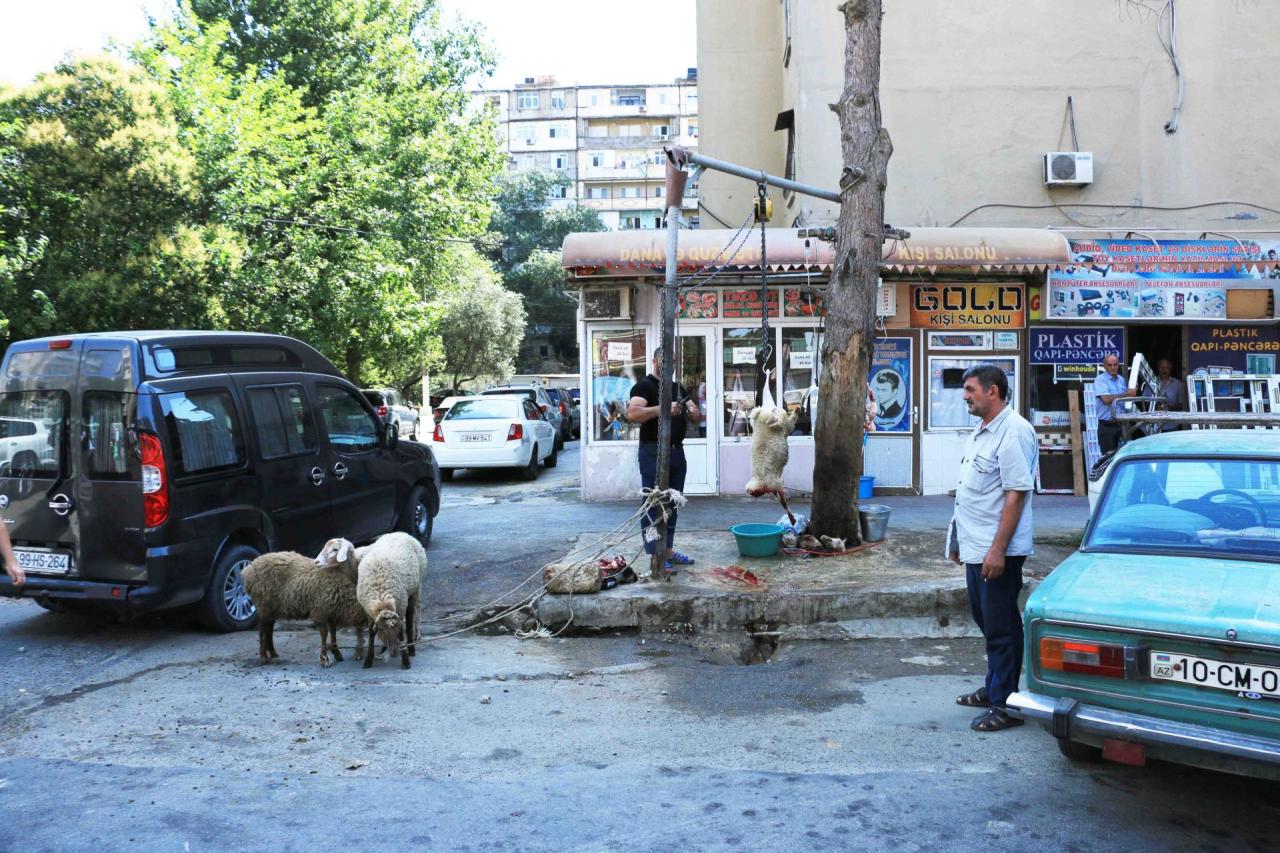 В Азербайджане проводятся рейды с целью борьбы с незаконным забоем скота