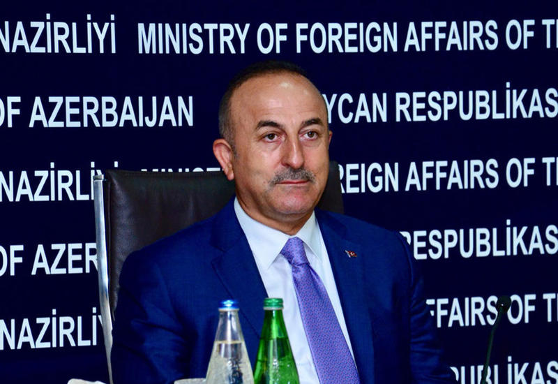 "Azərbaycan və Türkiyə birgə fəaliyyəti gücləndirəcəklər"