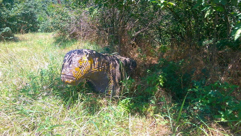 Древние тюркские артефакты грузинского Дманиси поразили ученых
