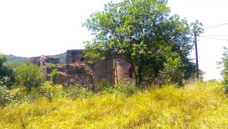 Древние тюркские артефакты грузинского Дманиси поразили ученых