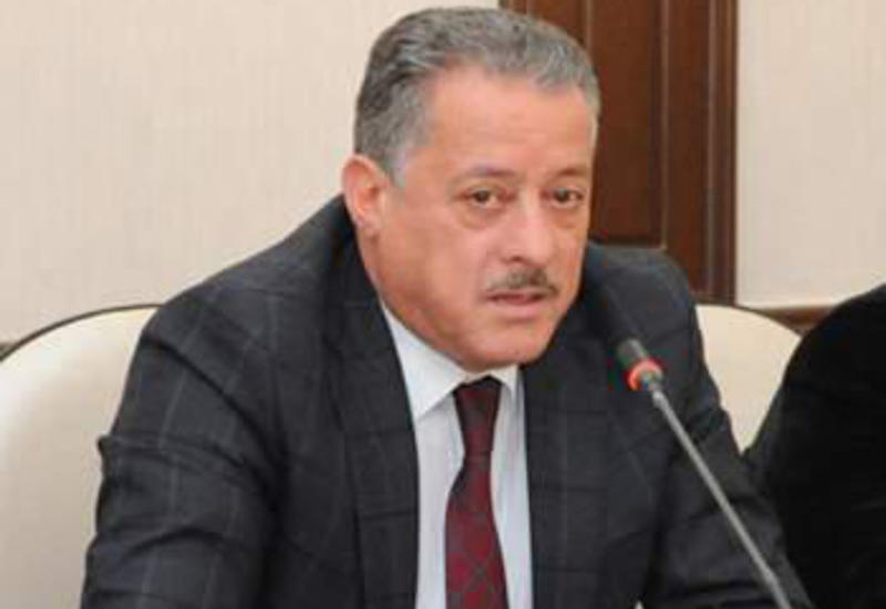 Айдын Гулиев: Радикальная оппозиция опасна для будущего Азербайджана
