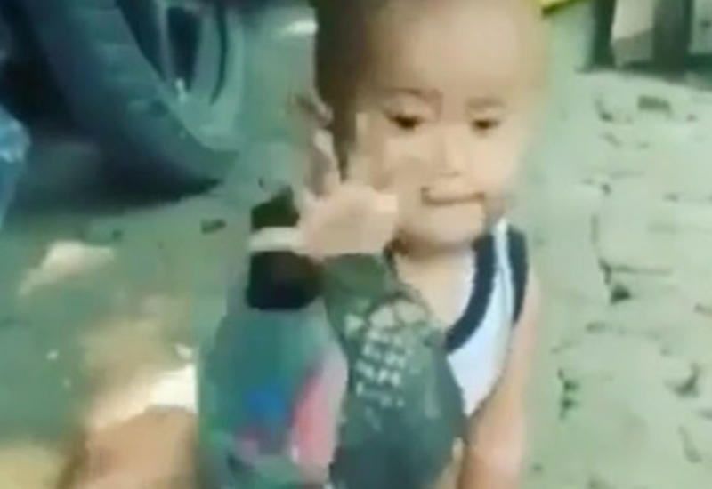 Ребенок поиграл с королевской коброй и насмешил взрослых