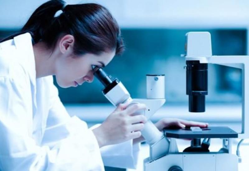 В Гяндже и Нахчыване созданы лаборатории по выявлению коронавируса
