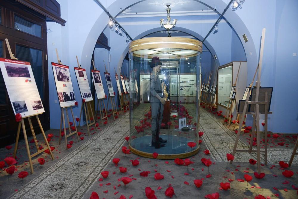 В Баку состоялось открытие выставки, посвященной 100-летию освобождения Баку от большевистско-дашнакской оккупации