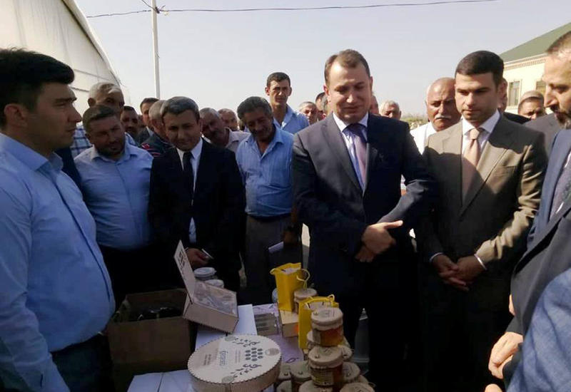 В Азербайджане началась продажа продукции под брендом «Джоджуг Марджанлы»