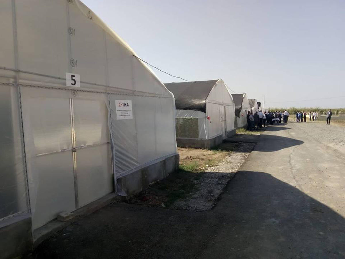 В Азербайджане началась продажа продукции под брендом «Джоджуг Марджанлы»