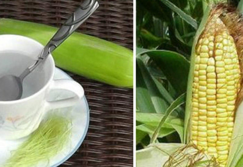 Qarğıdalı saçağı onlarla xəstəliyin və onkologiyanın dərmanıdır