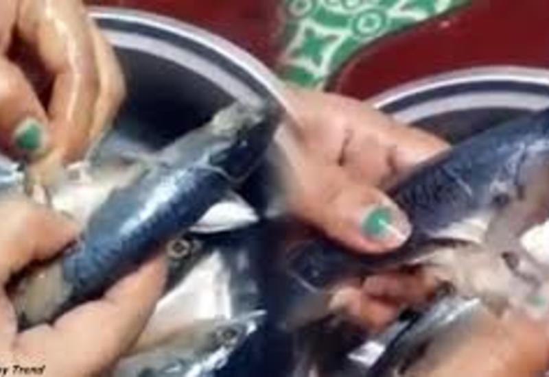 В Китае научились подделывать даже рыбу