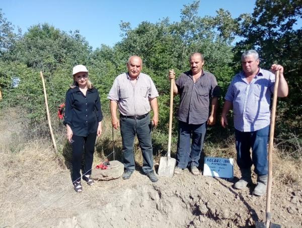 Damcılı mağarasında yaponlarla birgə tədqiqatlara başlanılıb