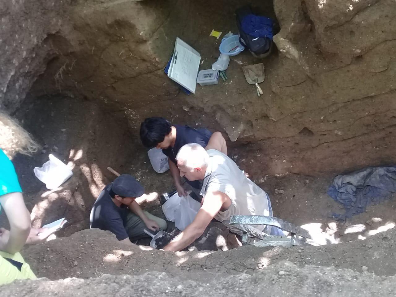 Damcılı mağarasında yaponlarla birgə tədqiqatlara başlanılıb