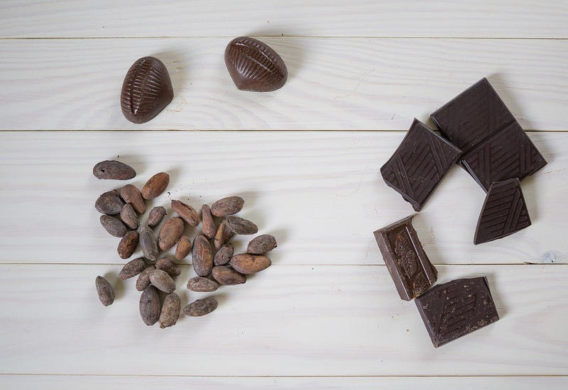 Канадские генетики назвали родину шоколада