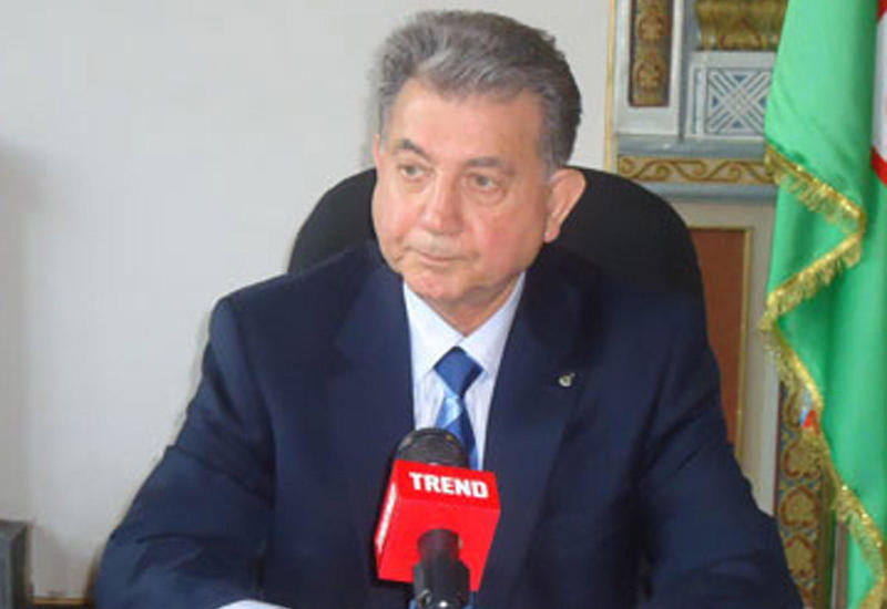 Акиф Ализаде об исследовании предоплагаемых останков Микаила Мушвига