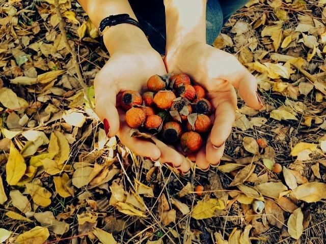 Буйство красок: 6 лучших осенних пейзажей Азербайджана