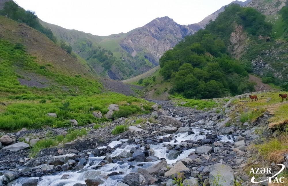Загатала: самые высокие горы, самые красивые виды...