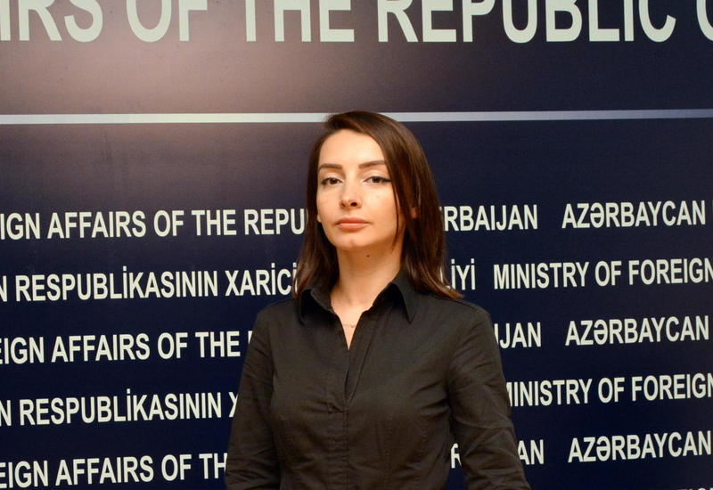 Лейла Абдуллаева: Оккупированные Арменией земли вернутся под контроль Азербайджана